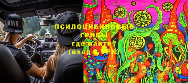 PSILOCYBIN Алзамай