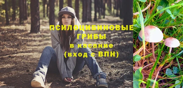 PSILOCYBIN Алзамай