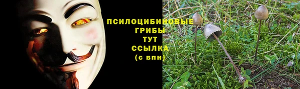 твердый Сафоново