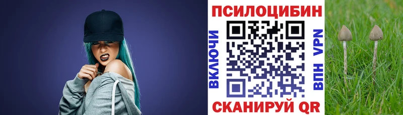 Галлюциногенные грибы GOLDEN TEACHER  даркнет сайт  Грязи 
